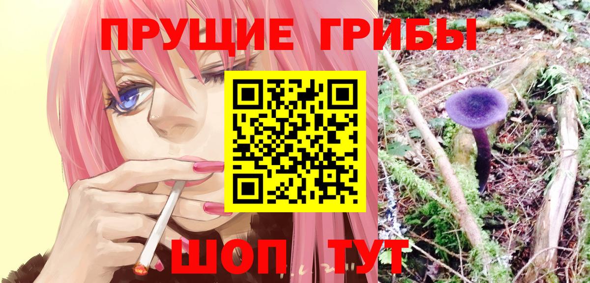 Псилоцибиновые грибы Psilocybine cubensis Мариинск