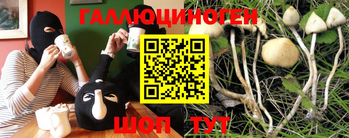Мариинск  Псилоцибиновые грибы MAGIC MUSHROOMS  Вход с VPN 